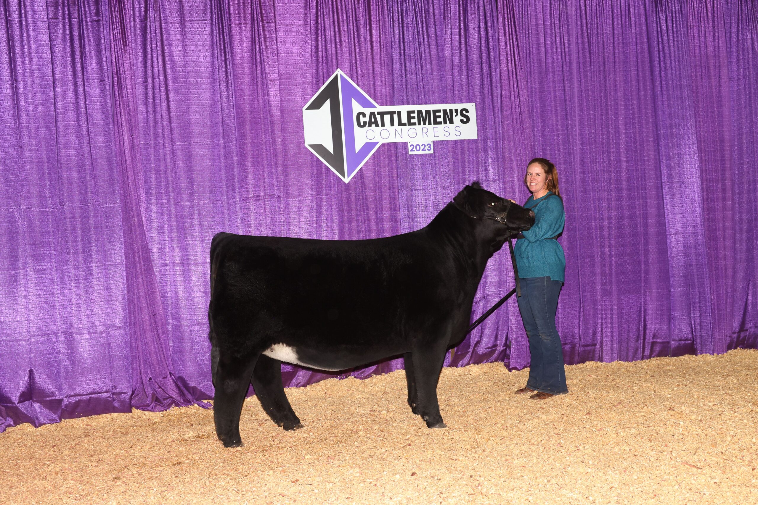 Tulsa State Fair, Junior Breeding Heifers – MaineTainer